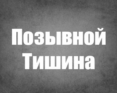 Позывной Тишина